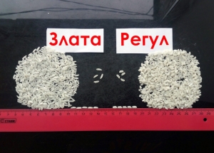 Рис