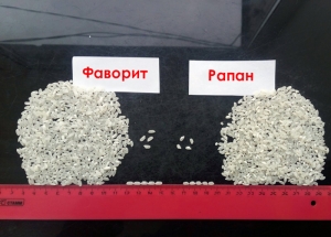 Рис